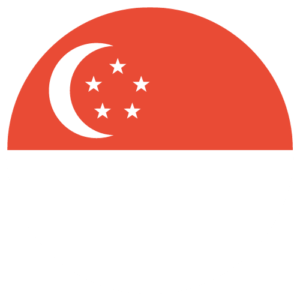 SingaporeVSMR Visas FLag